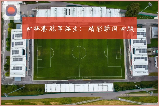 世锦赛冠军诞生：精彩瞬间回顾